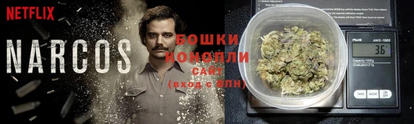 тгк Вяземский
