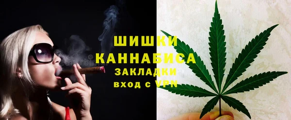 тгк Вяземский