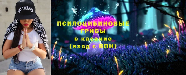 тгк Вяземский