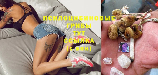 тгк Вяземский