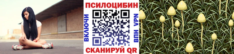 Псилоцибиновые грибы Magic Shrooms  Купить закладки  Кизляр 