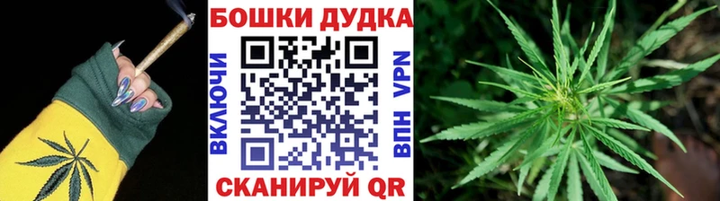 Купить закладки  Кизляр  Шишки марихуана THC 21% 